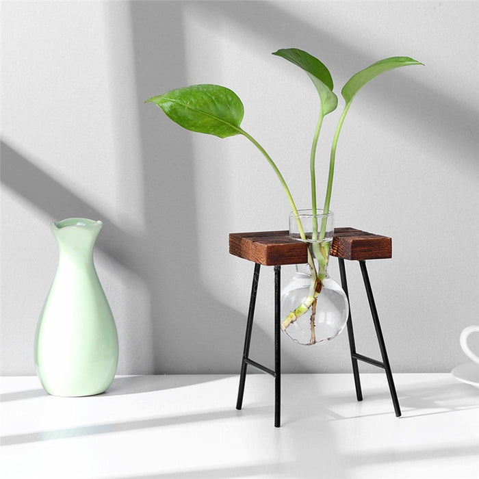 'Bubble' Glass and Wood 1 Pot Desk Vase - Allora Jade