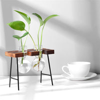 'Bubble' Glass and Wood 2 Pot Desk Vase - Allora Jade