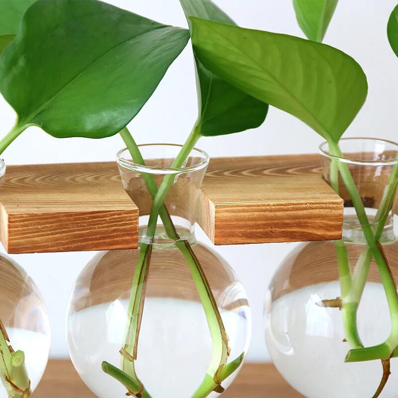 'Bubble' Glass and Wood 1 Pot Desk Vase - Allora Jade
