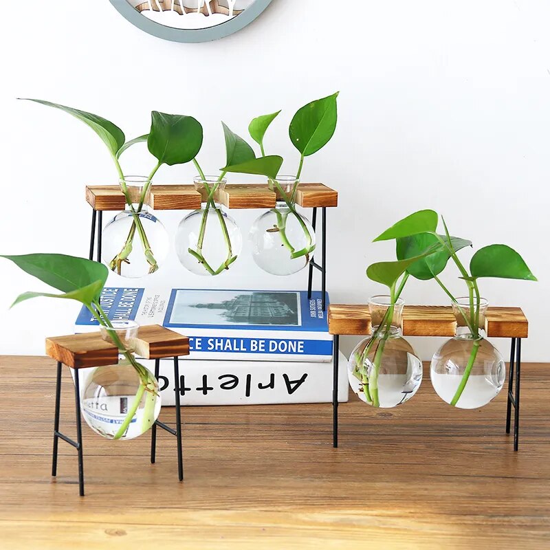 'Bubble' Glass and Wood 3 Pot Desk Vase - Allora Jade