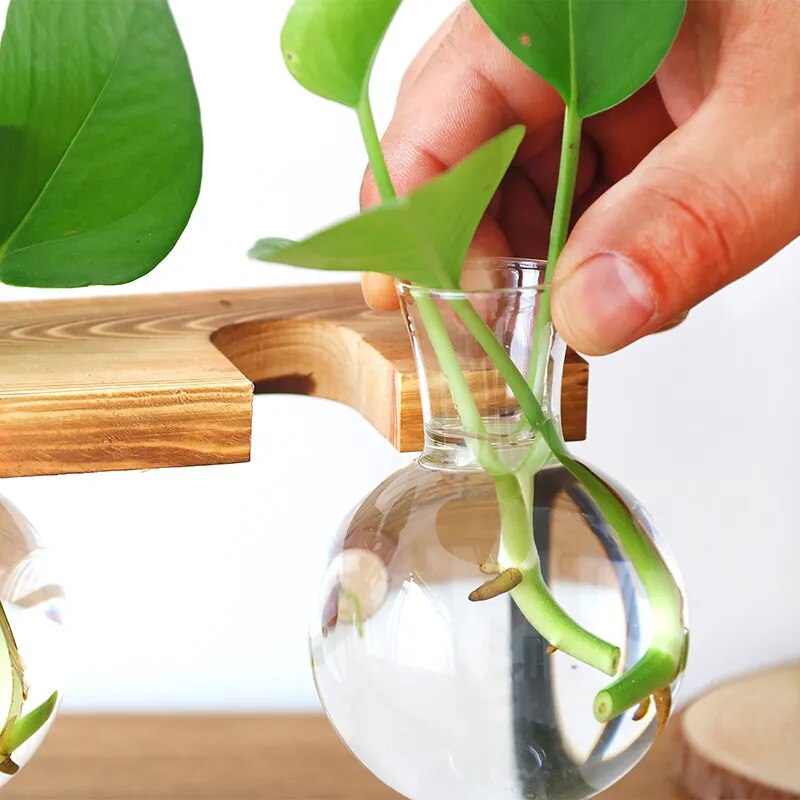 'Bubble' Glass and Wood 3 Pot Desk Vase - Allora Jade