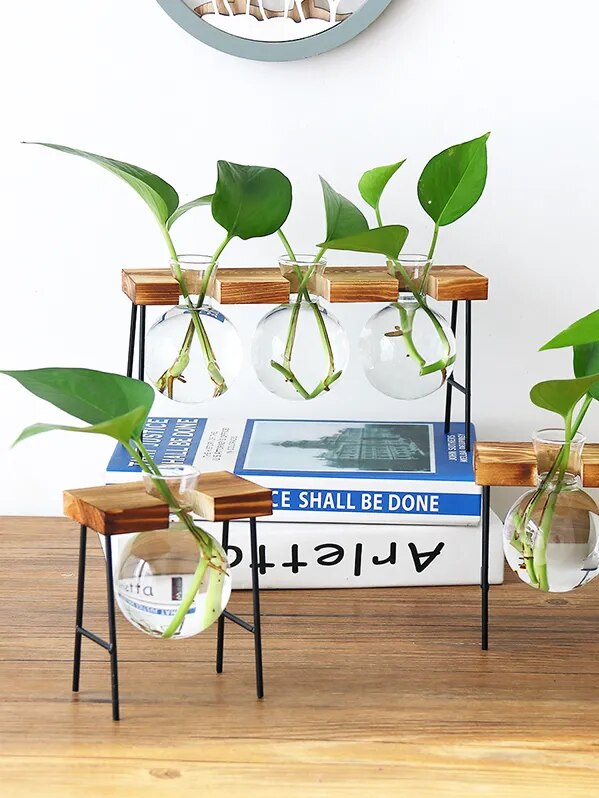 'Bubble' Glass and Wood 1 Pot Desk Vase - Allora Jade