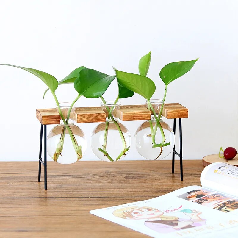 'Bubble' Glass and Wood 3 Pot Desk Vase - Allora Jade