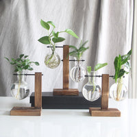 'Bubble' Glass and Wood L Stand Pot Hanging Vase - Allora Jade