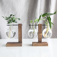 'Bubble' Glass and Wood F Stand Pot Hanging Vase - Allora Jade