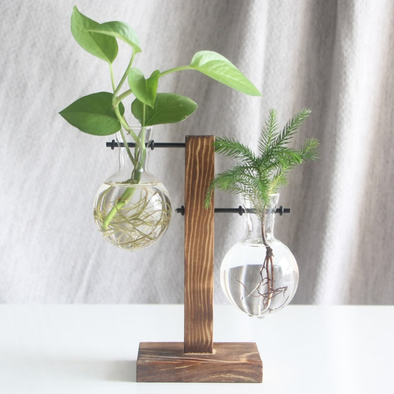 'Bubble' Glass and Wood F Stand Pot Hanging Vase - Allora Jade