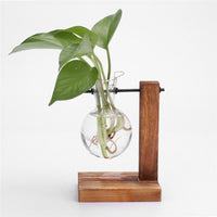'Bubble' Glass and Wood L Stand Pot Hanging Vase - Allora Jade